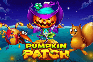 Pumpkin patch